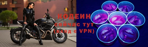 шишки Покров